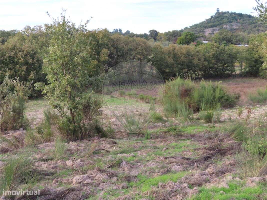 Quinta T0 para venda - Grande imagem: 3/26