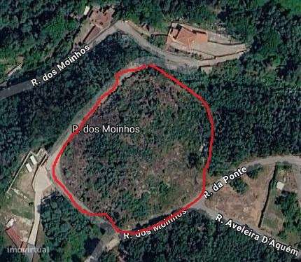 Terreno de 9.000 m2 em Milhundos com a Melhor Vista Panorâmica sobre-2