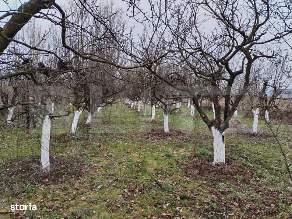 Teren de vanzare, 9000 mp, Zona Aurel Vlaicu - Imagine principală: 3/7