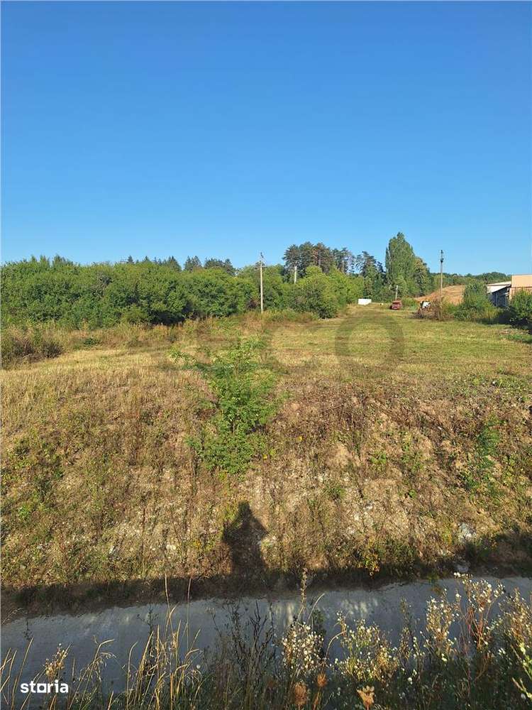 Reco, teren intravilan  Alesd - Imagine principală: 3/5