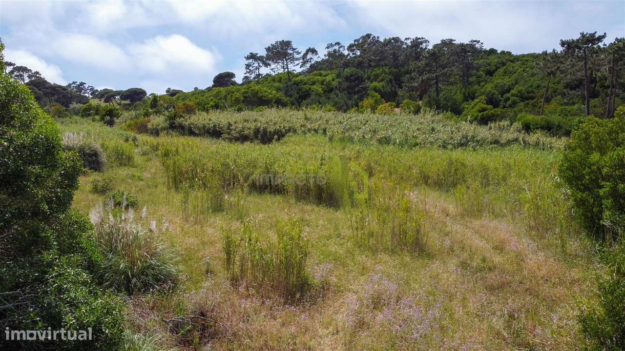 Terreno Rustico com 3.000m2 em Colares-5