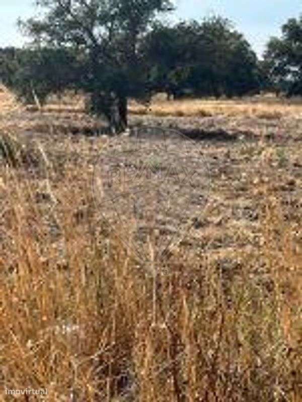 Terreno  para venda-14