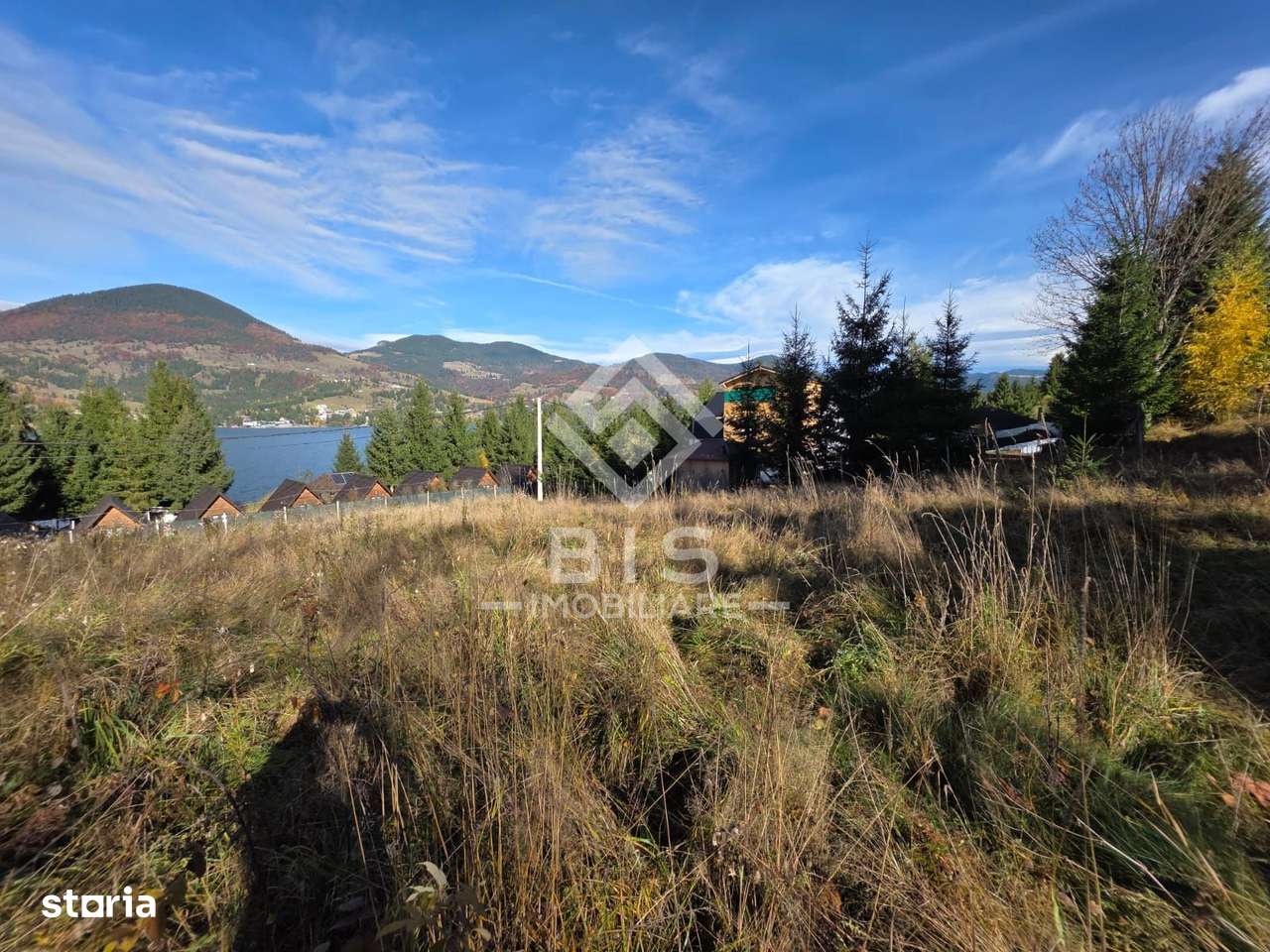 Teren de vanzare 12 ari - COLIBITA - Imagine principală: 5/8