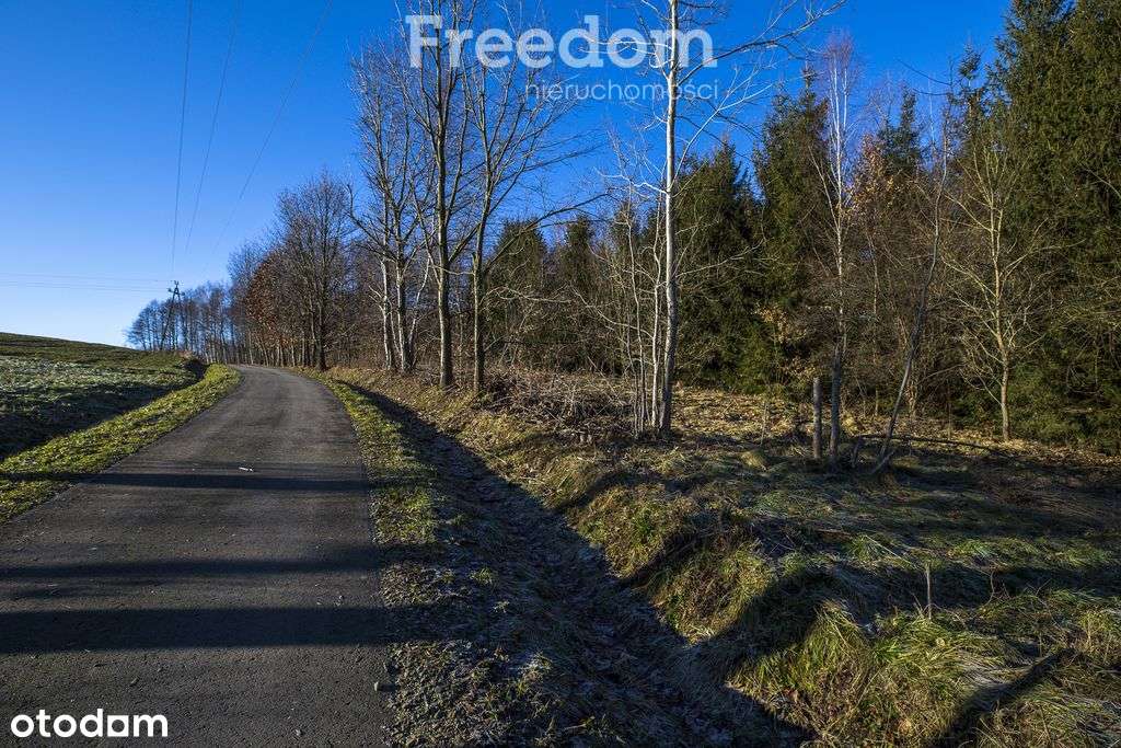 Zadrzewiona działka z widokiem – Błędowa Tycz-11