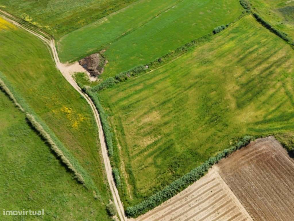Venda de 2 Terrenos Agrícolas na zona do Paimogo, Lourinhã-22