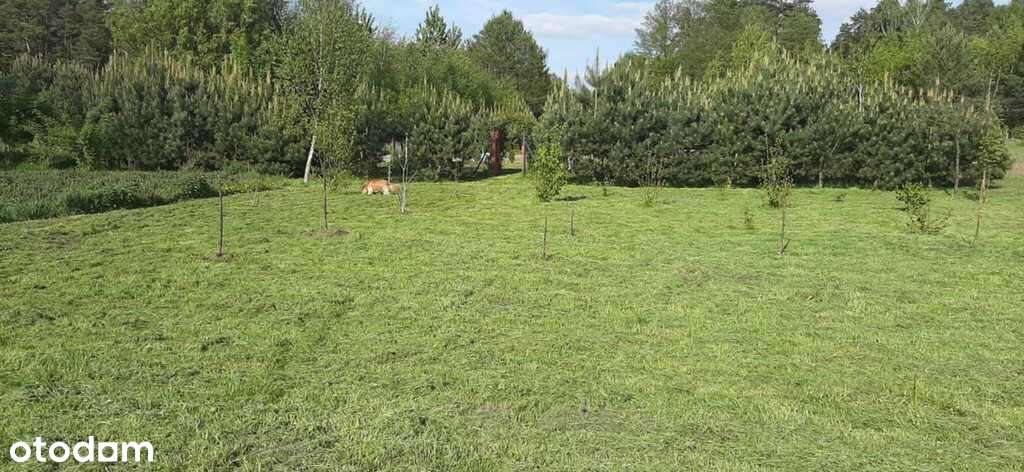 Malownicza działka w Ldzaniu – blisko rzeki Grabi - Pełny obrazek: 4/8