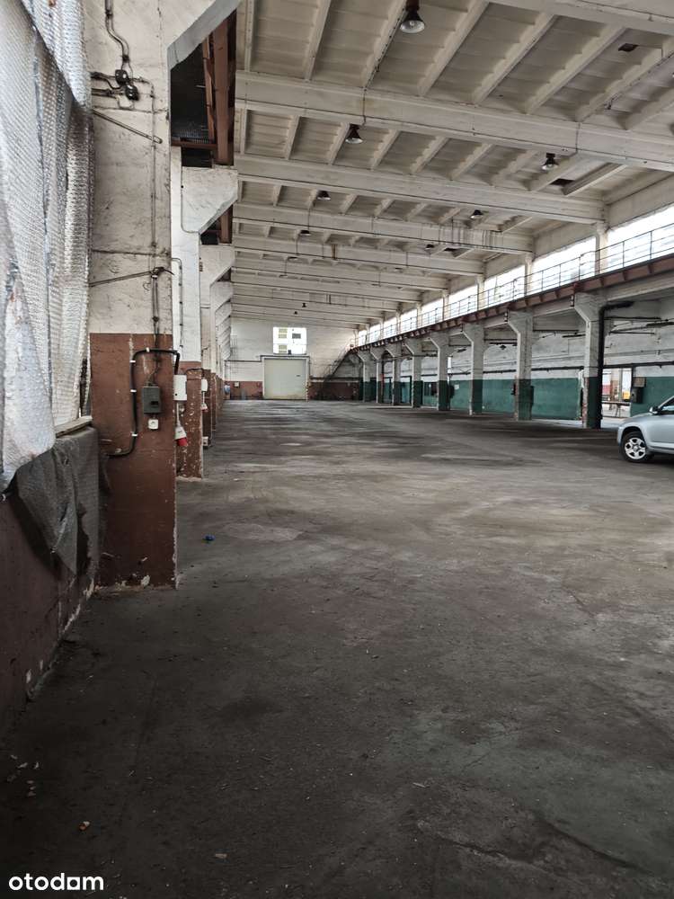 Hala 2800m2  działka 2ha biurowiec 1800m2 Suwnice 5t i 3,2t - Pełny obrazek: 4/16