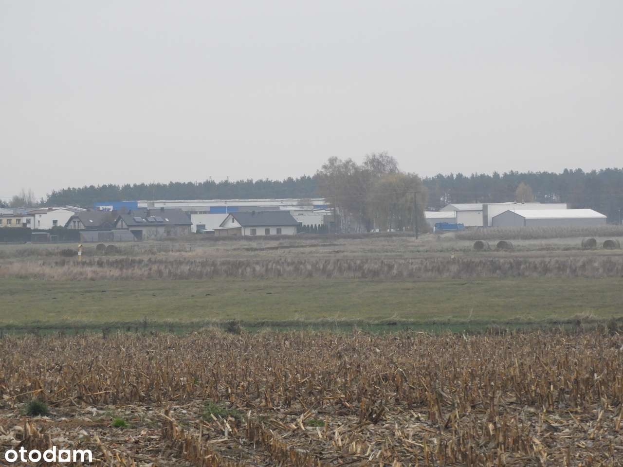 Działka 15 000 m² w Chojęcinie przy nowym osiedlu mieszkaniowym-8