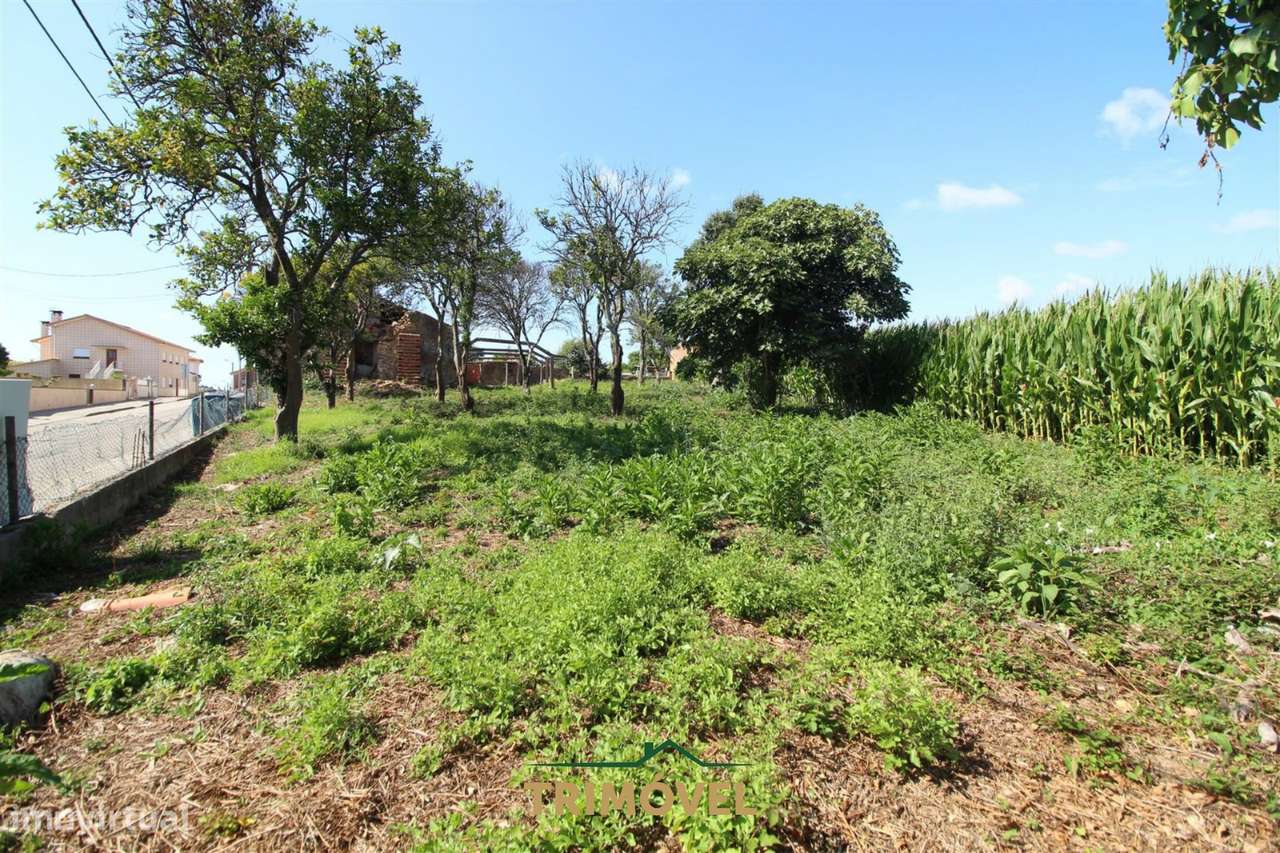 Terreno urbano com moradia antiga em Válega, Ovar-13