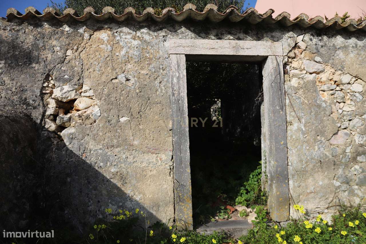 Oportunidade Única -Ruína Urbana em Morelena com Potencial Incrível-10