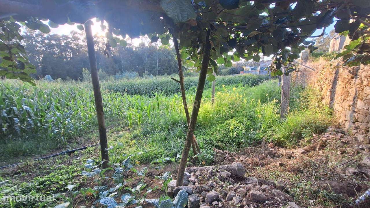 Terreno Urbano em Gião Vila do Conde - Grande imagem: 5/13