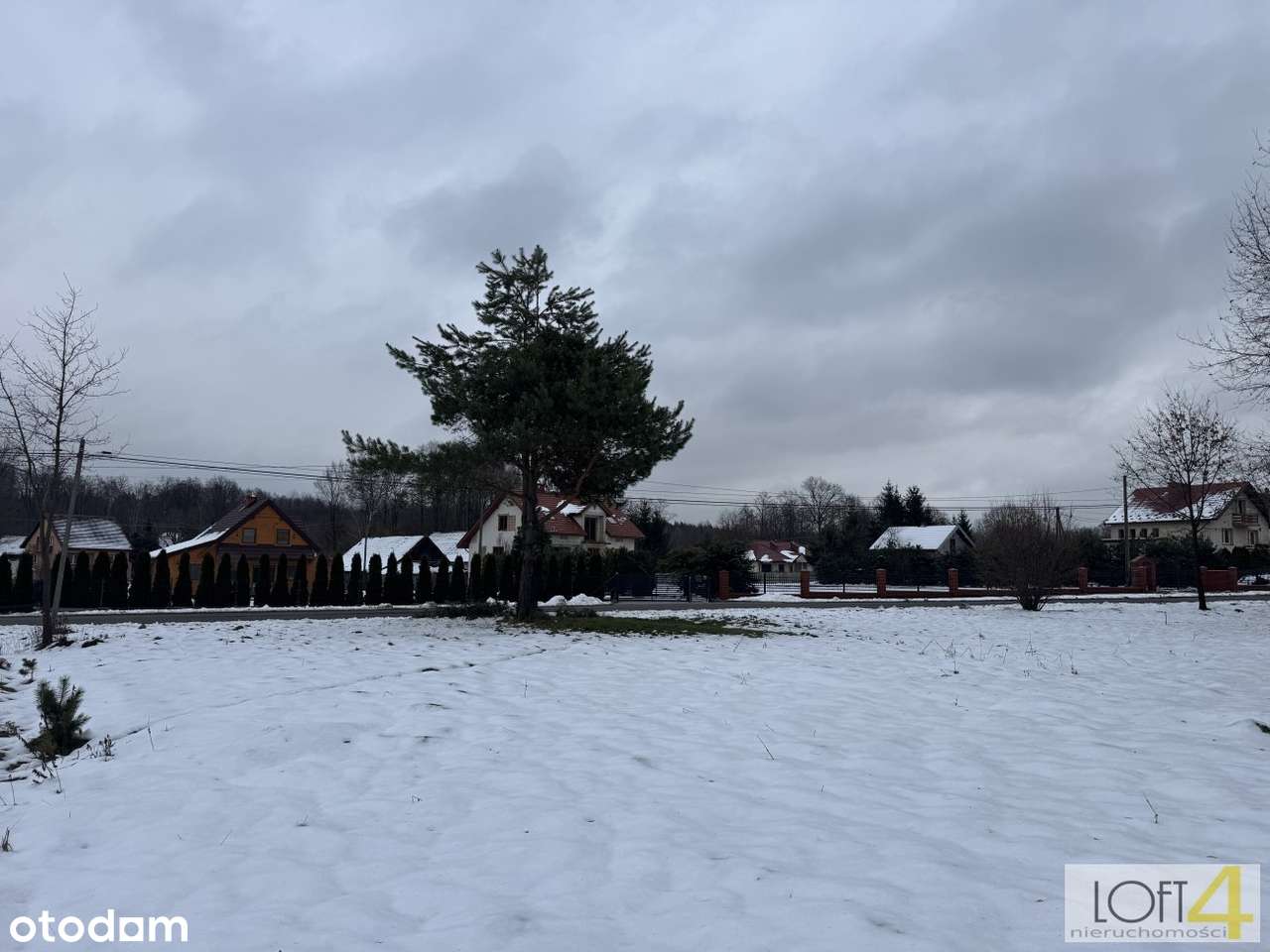 Duża działka z WZ -  otulona lasem - Pełny obrazek: 4/15