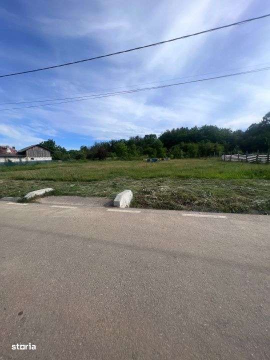 Teren Glamboc Deal, intravilan, asfalt, toate utilitatile - Imagine principală: 3/3