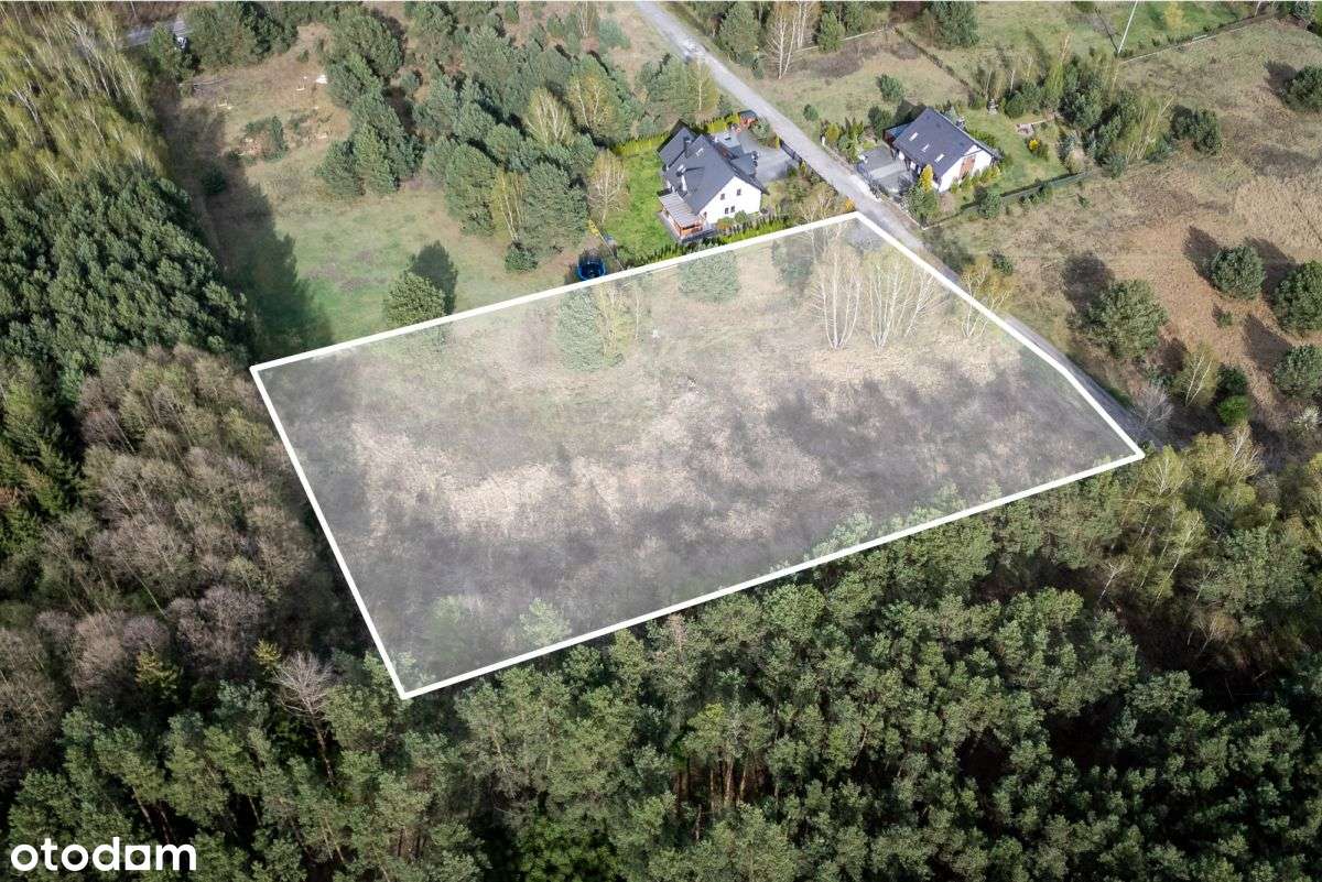 Otoczenie lasu Możliwy podział na 6 działek Plan - Pełny obrazek: 4/10