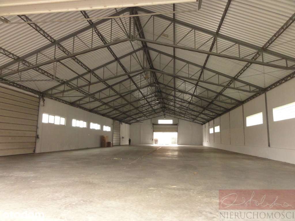 SOLIDNY MUROWANY MAGAZYN 1240 m Z KONTROLĄ DOSTĘPU - Pełny obrazek: 3/14