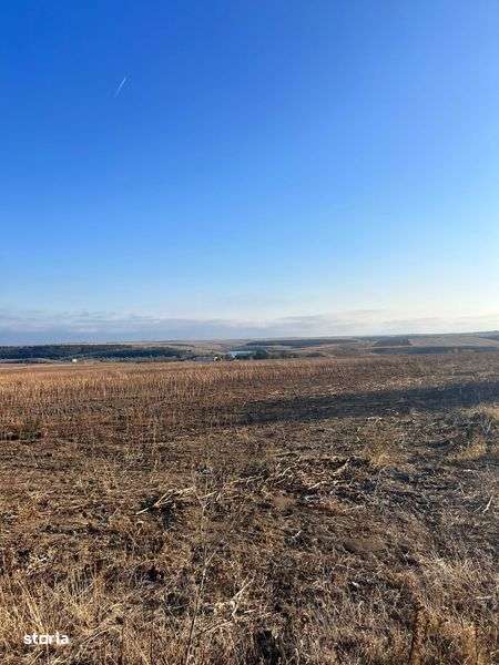 Teren arabil 15 ha compact - Imagine principală: 4/6