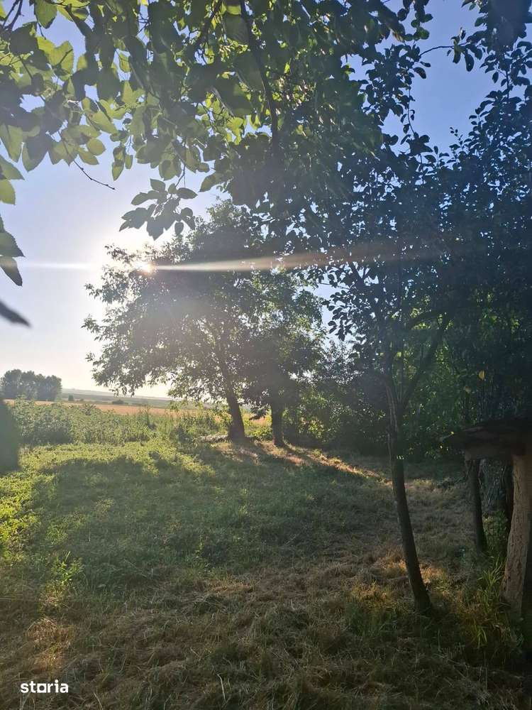 De vanzare casa 15 min de Roman, 37.000 euro - Imagine principală: 4/11