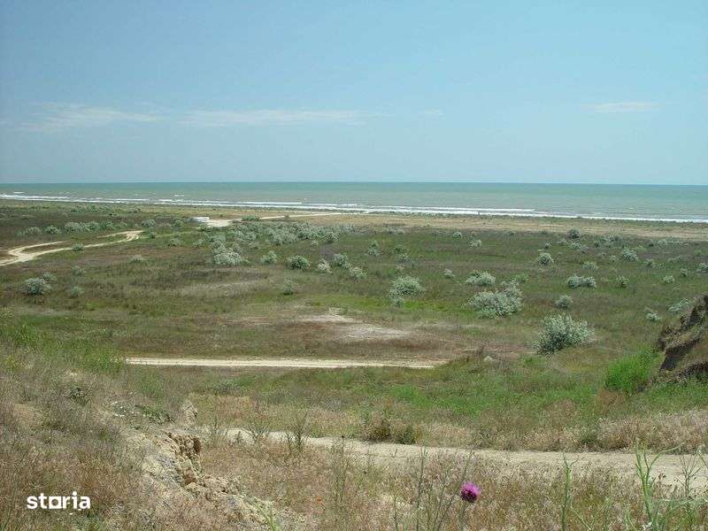 Teren Corbu, loturi 500 mp + cota alee acces 78 mp - Imagine principală: 5/7