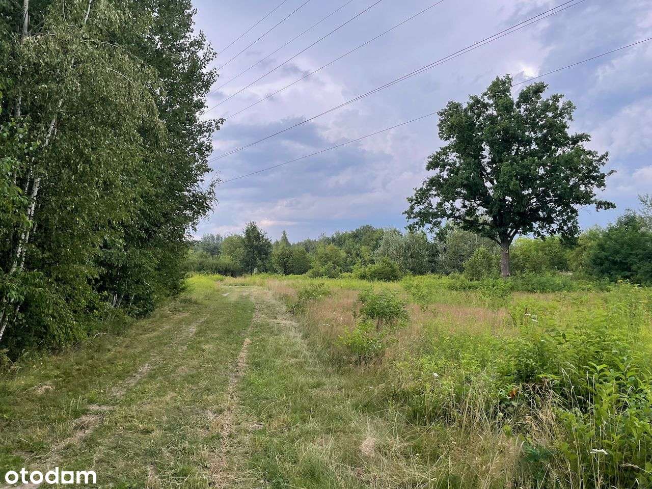 Bezpośrednio, ważne WZ - Pełny obrazek: 5/5