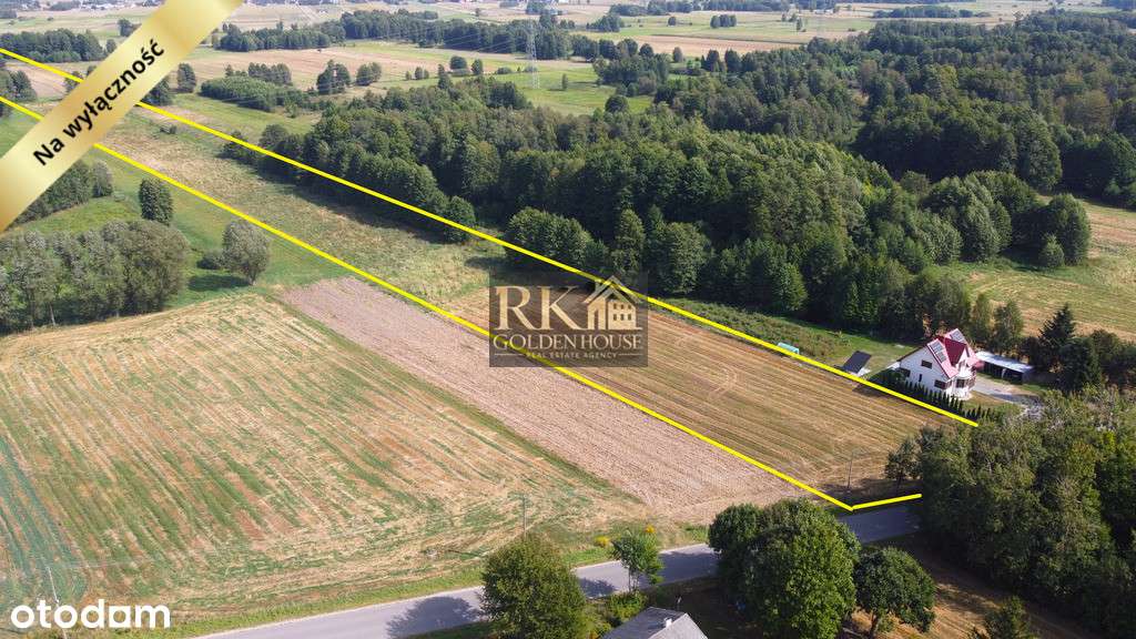 Duża działka rolna na sprzedaż z możliwością budowy domu-2