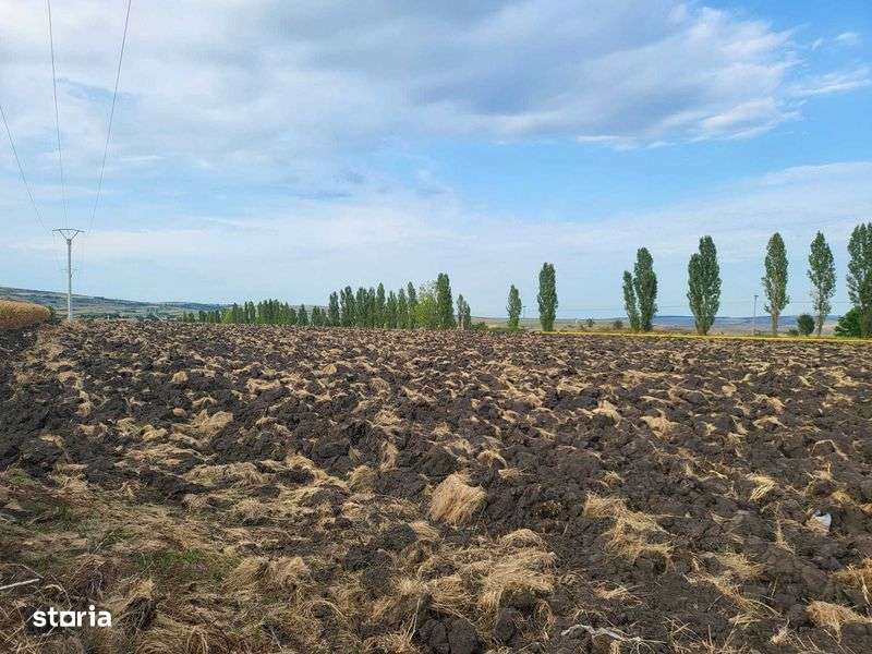 Teren industrial in Tureni langa nod drum expres pentru autostrada A3 - Imagine principală: 4/8