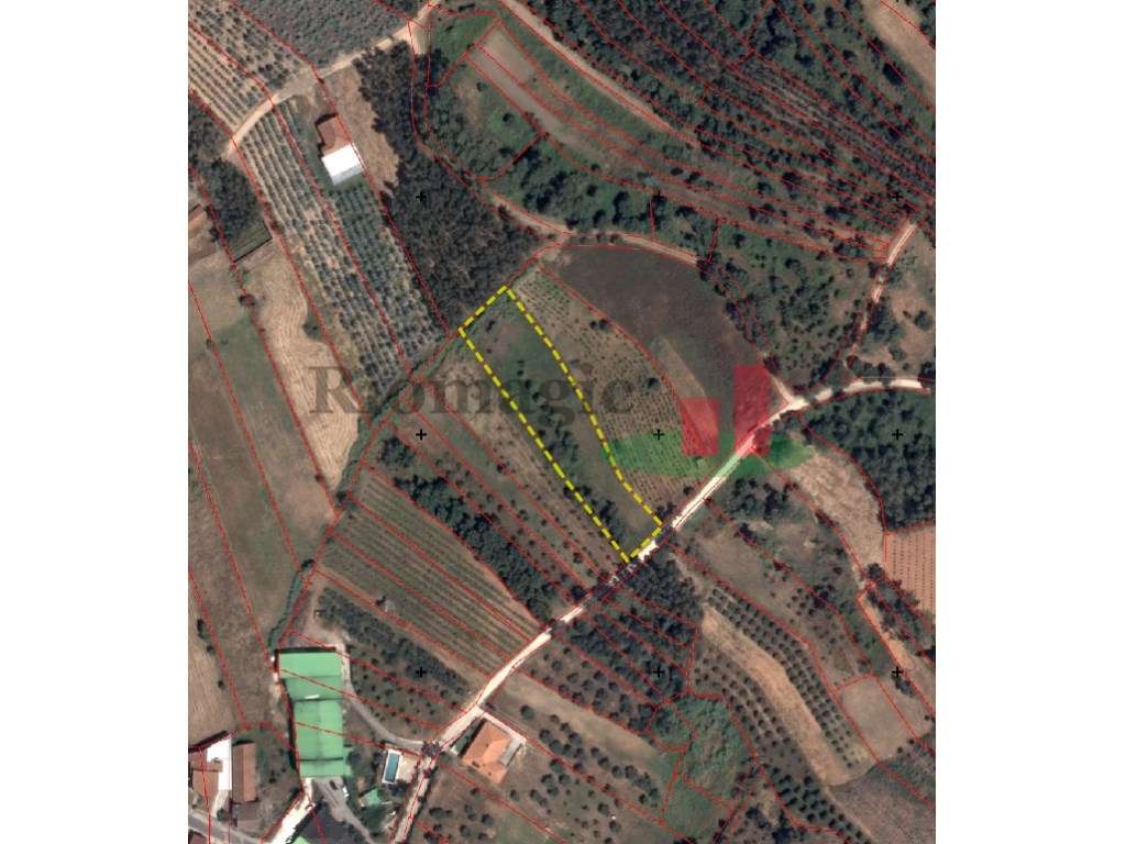 Terreno Alcobertas***RIOMAGIC*** - Grande imagem: 5/5