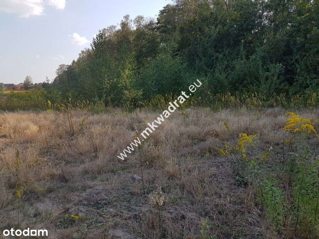 Działka przy lesie pod dom 2-lokalowy MpzP Media! - Pełny obrazek: 4/8