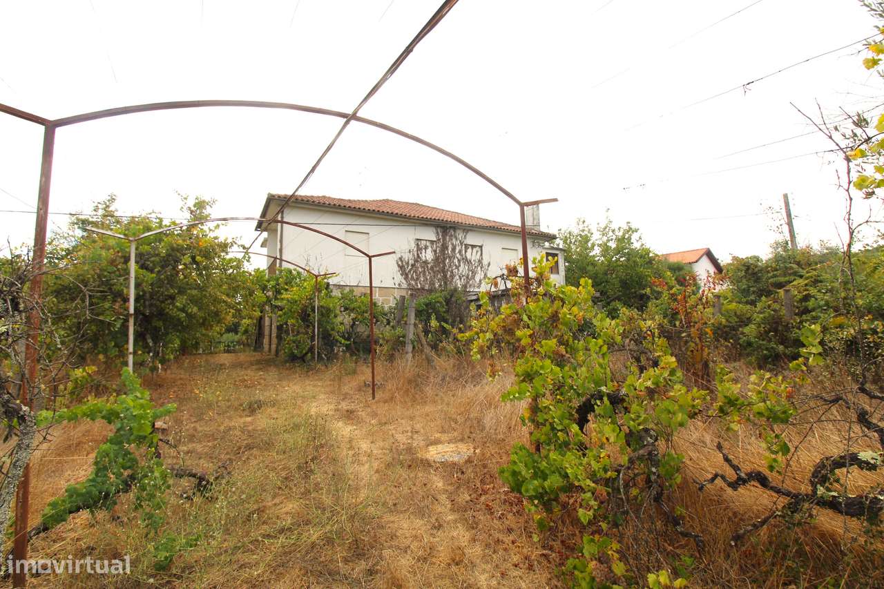 Quinta com 8.000 m² a apenas 10 km do centro de Viseu-33