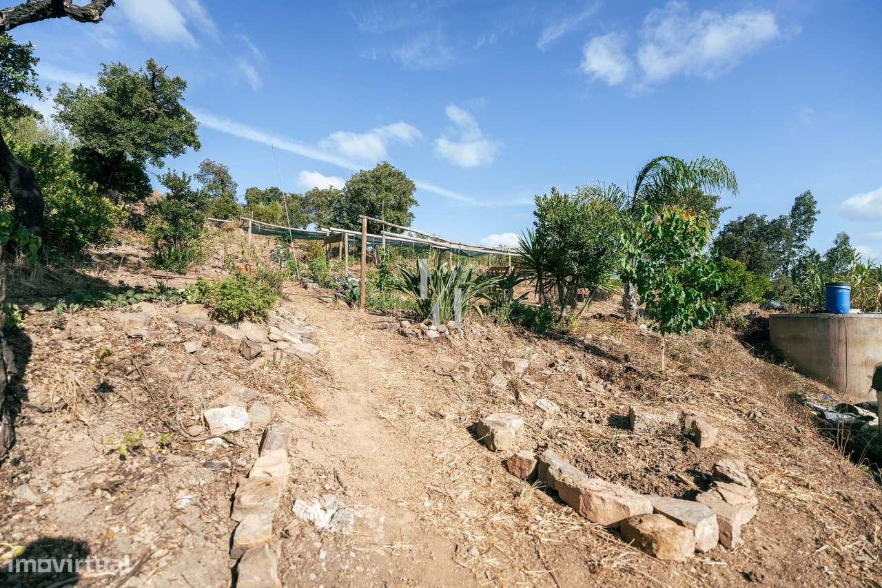 Terreno rústico para venda em Barão de São Miguel, Vila do Bispo - Grande imagem: 5/16