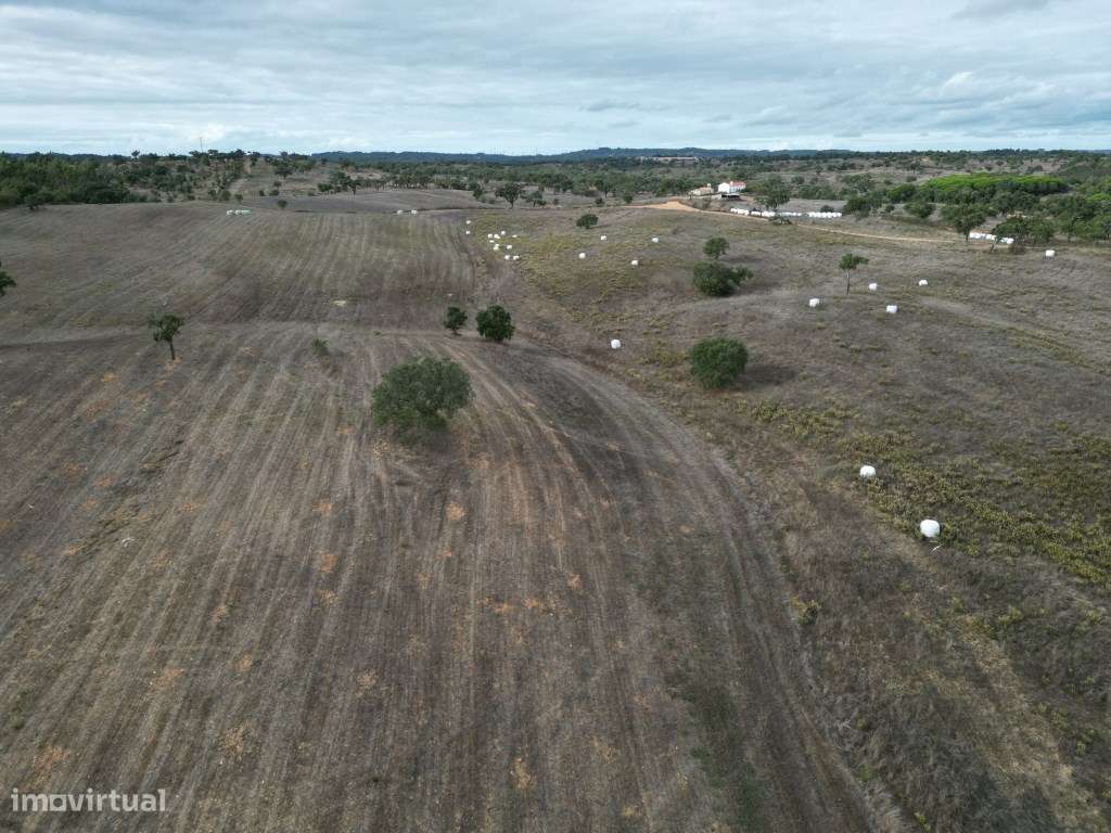Monte Típico Alentejano para Reabilitar - Santiago do Cacém-19