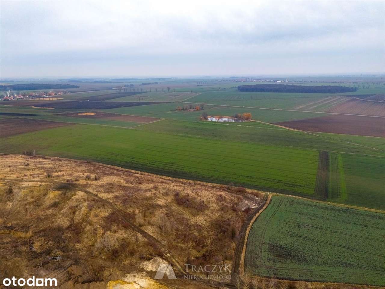 Rola w dobrej cenie, gm. Strzegom - Pełny obrazek: 5/14