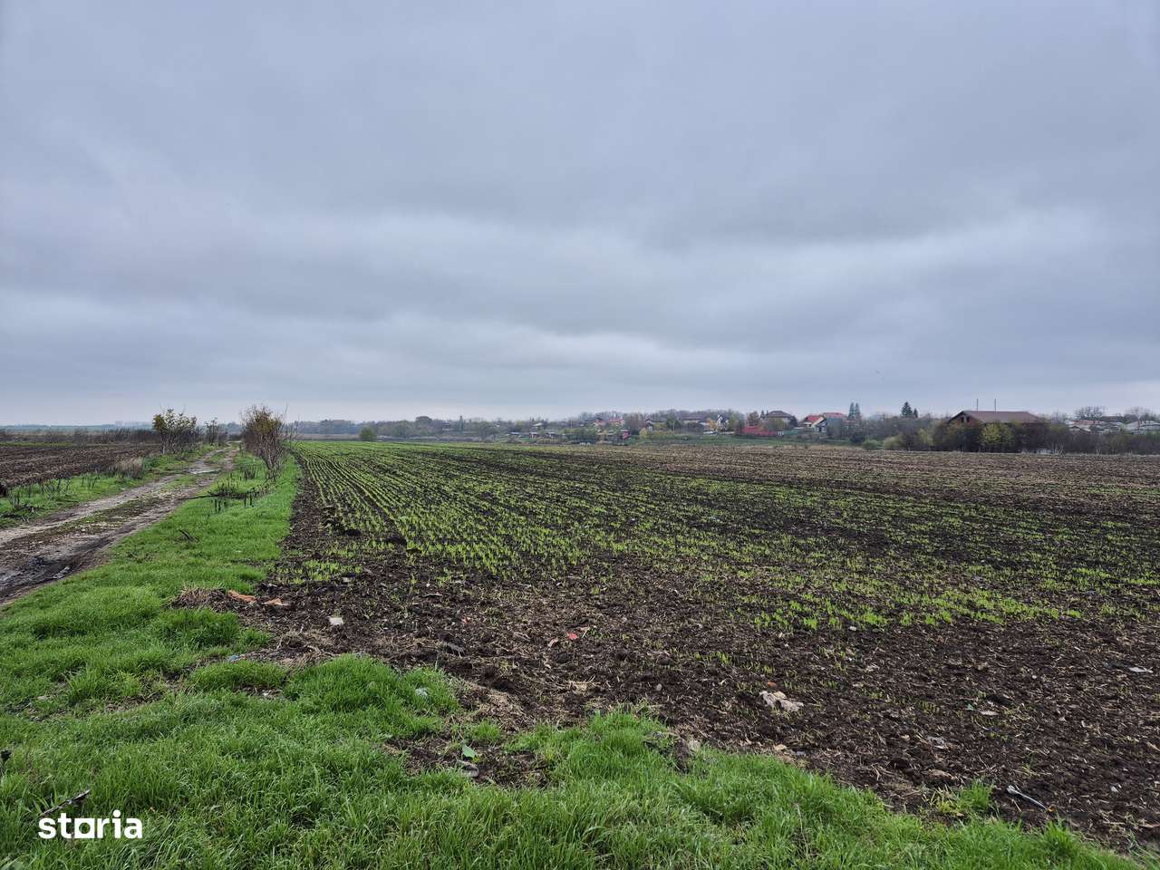 Teren intravilan 45km Bucuresti, Pasarea-Frumusani, jud Calarasi-2