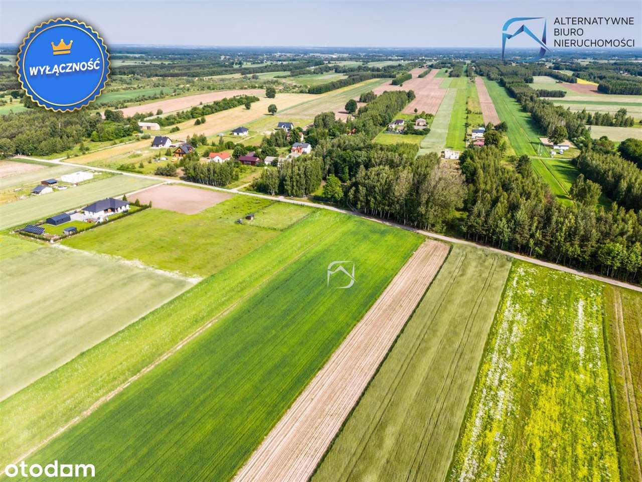 Ustawne działki budowlane - Kolonia Krasienin - Pełny obrazek: 4/17