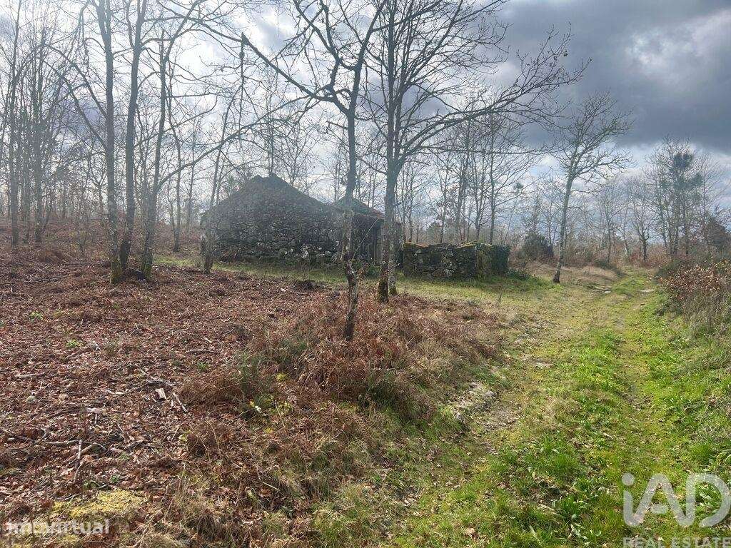 Terreno em Carvalhais e Candal de 26258,00 m2 - Grande imagem: 5/15