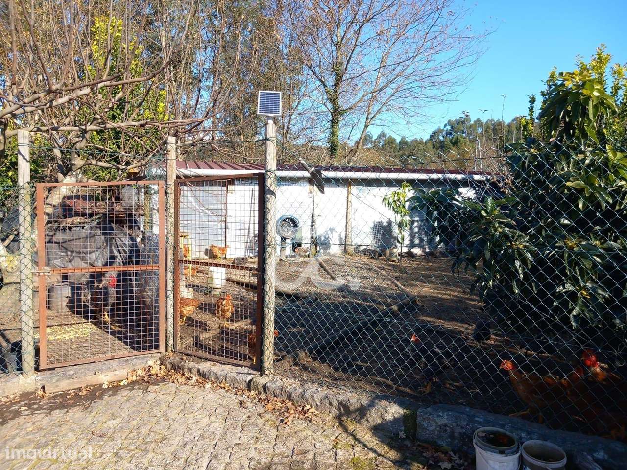 Moradia Totalmente em Pedra em Revelhe (Fafe)  Excelente oportunidade-32