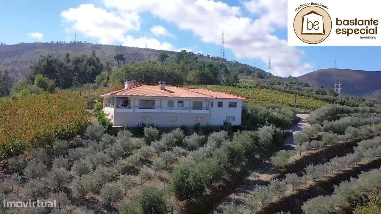 Quinta no Alto Douro Vinhateiro - Lamego com 7 ha (hectares) - Grande imagem: 2/23