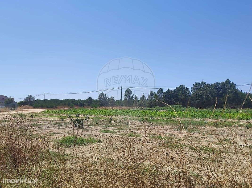 Terreno  para venda - Grande imagem: 3/12