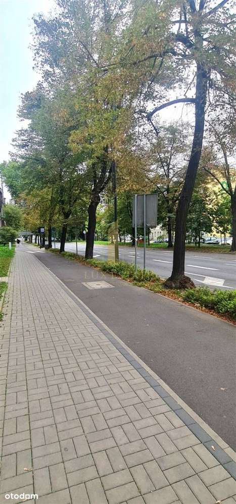 CentrumDuże witryny Atrakcyjny Lokal Przy głDrodze-6