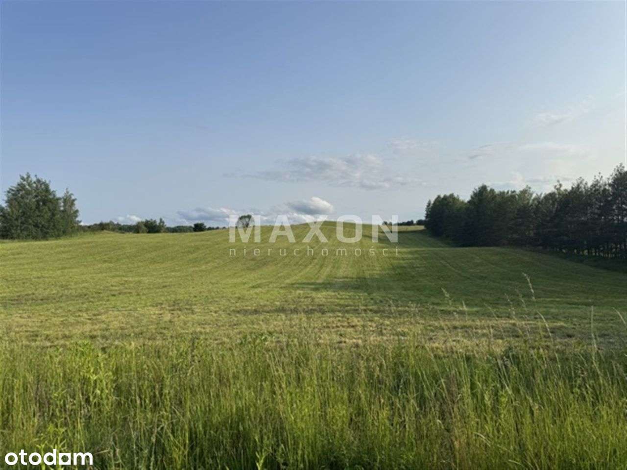 Działka 2 ha, Wz, Lubiewo, Mikołajki - Pełny obrazek: 4/13
