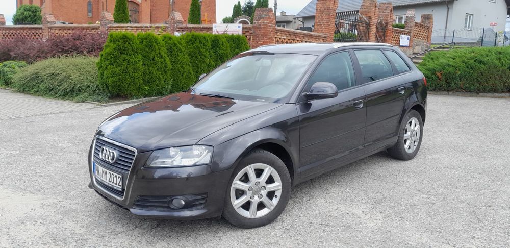 Audi A3 8P (2003-2012) 2009