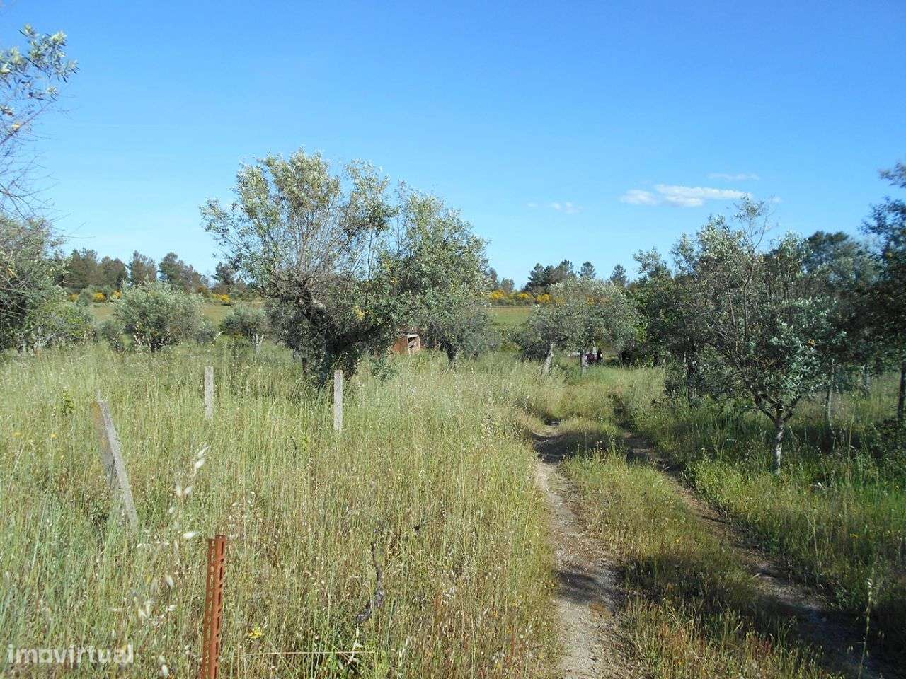 Quinta - Grande imagem: 4/9