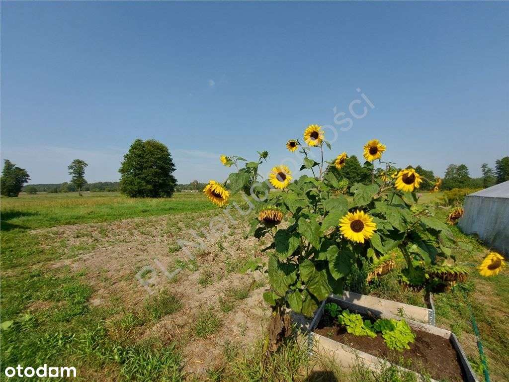Siedlisko Jak Z Bajki, Miejskie Media, Komunikacja-15