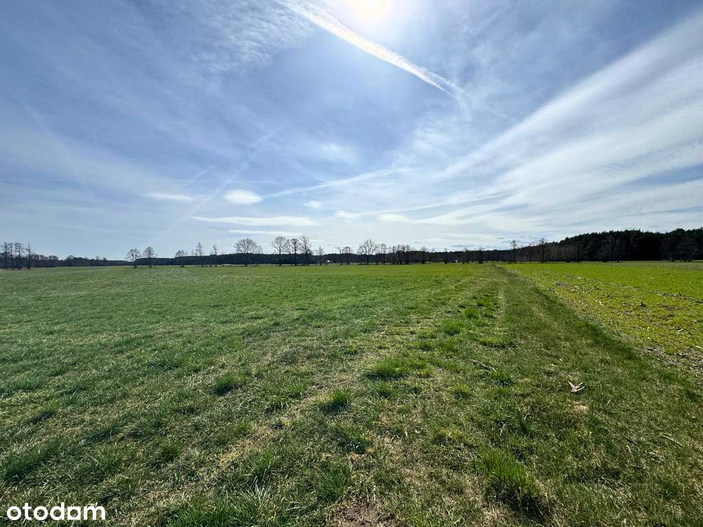 Grunty rolne w Stefanowicach - cena do negocjacji - Pełny obrazek: 5/6