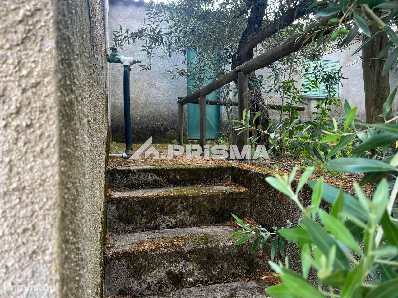 Quintinha para venda em Louriçal do Campo, Castelo Branco-11