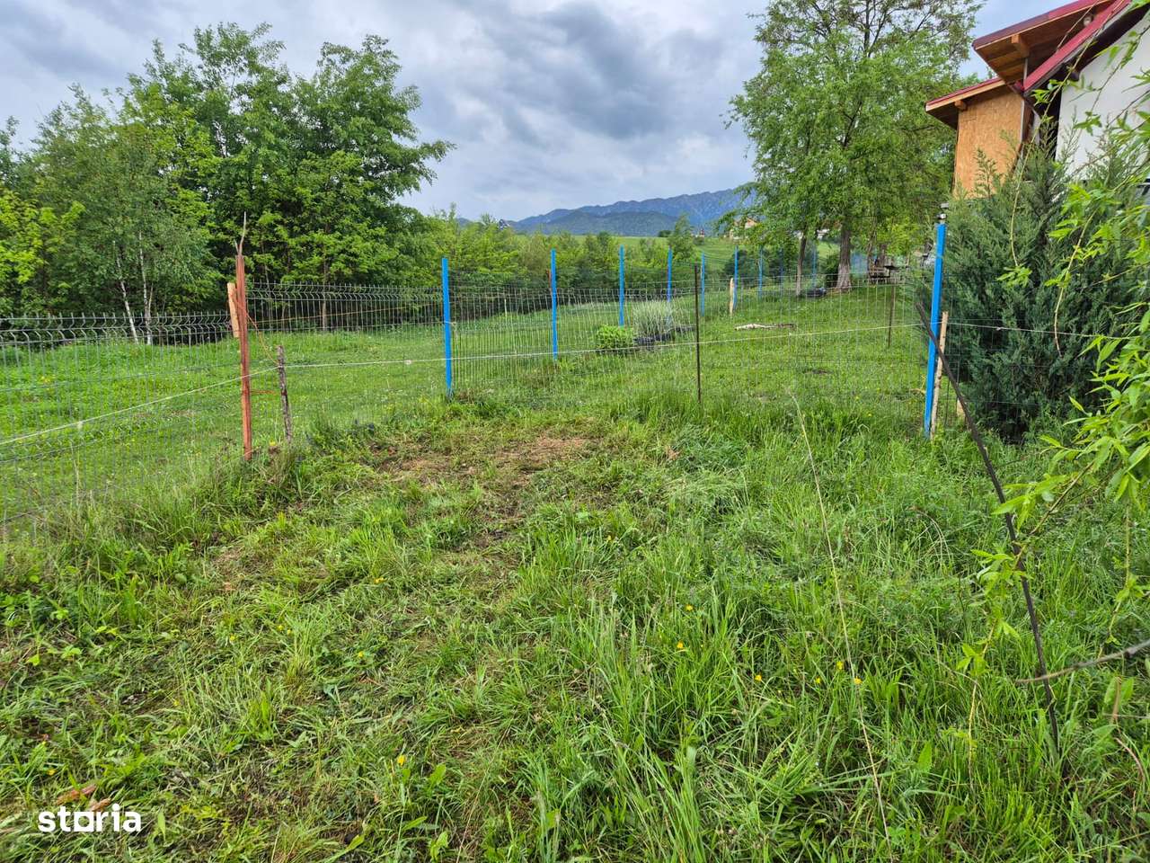 Teren, 3 456 m², -6