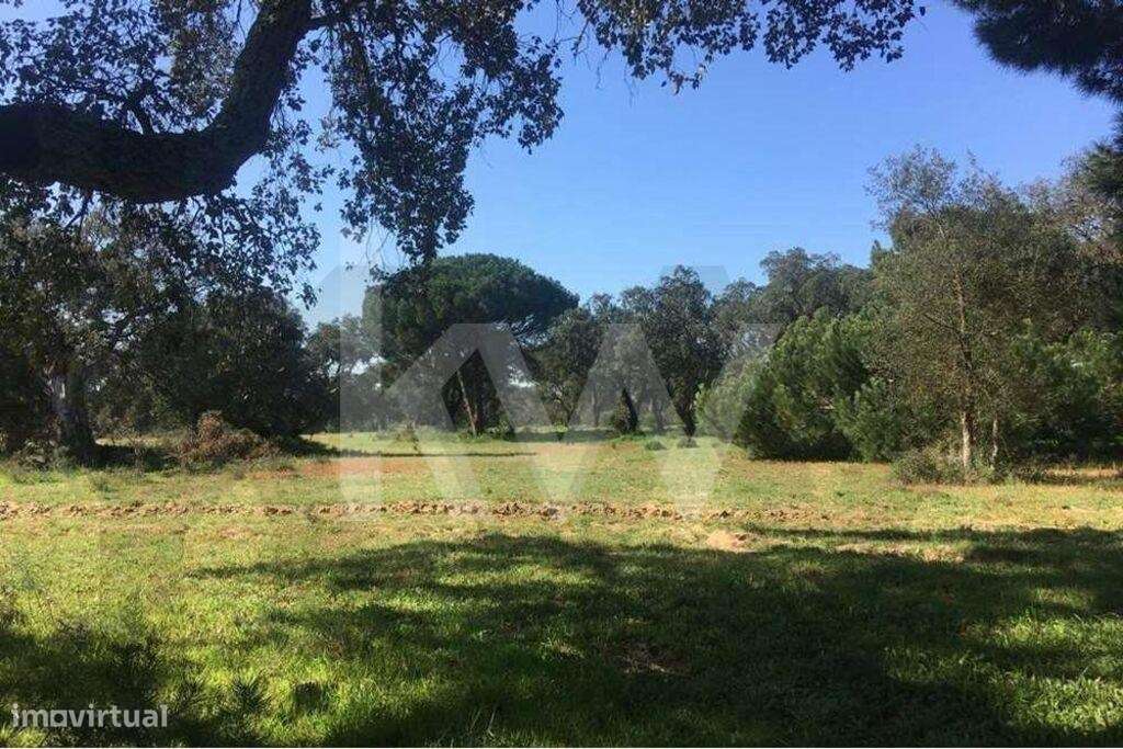 Herdade Exclusiva de 29 Hectares na Marateca, próxima de Águas de Mour - Grande imagem: 2/19