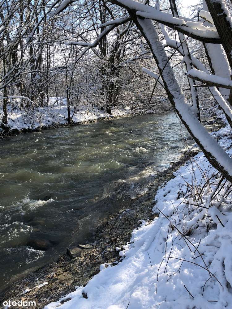 Sprzedam wyjątkową  działkę nad rzeką Nysa Kłodzka – Długopole Górne - Pełny obrazek: 4/8
