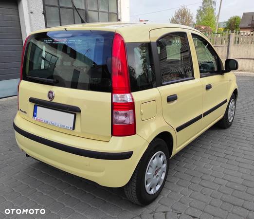 Fiat Panda 1.2 Active Eco - 8