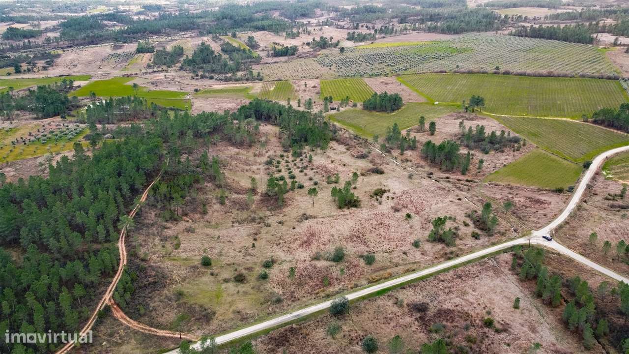Quinta T0 Venda em Sarzedas,Castelo Branco-6