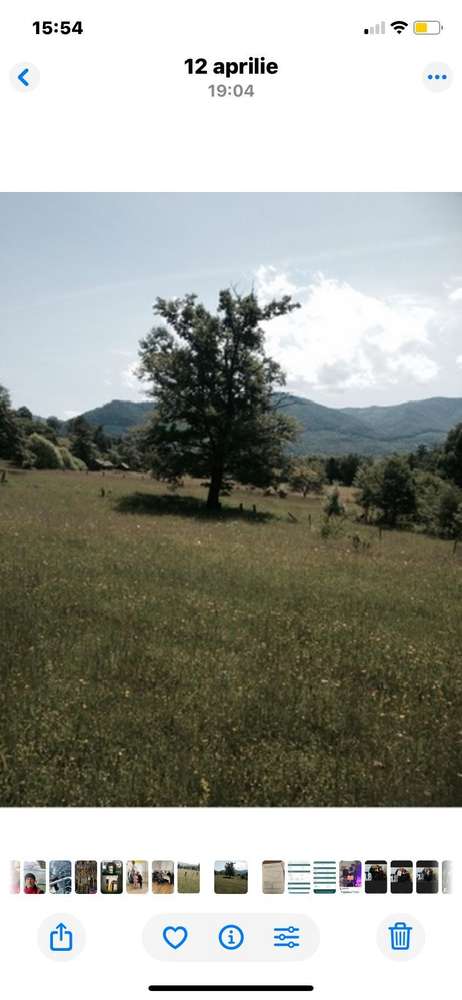 Teren Intravilan 720 mp. Bistra Muresului-1